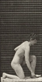 Plate 255 Arising from kneeling and turning — figure reference
